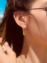 Load image into Gallery viewer, Cornus Gold Earrings
