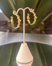 Load image into Gallery viewer, Amazonas Gold Hoops
